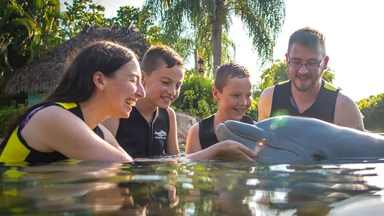 Pacote de fotos de grupo de pessoas no nado com golfinhos do Discovery Cove