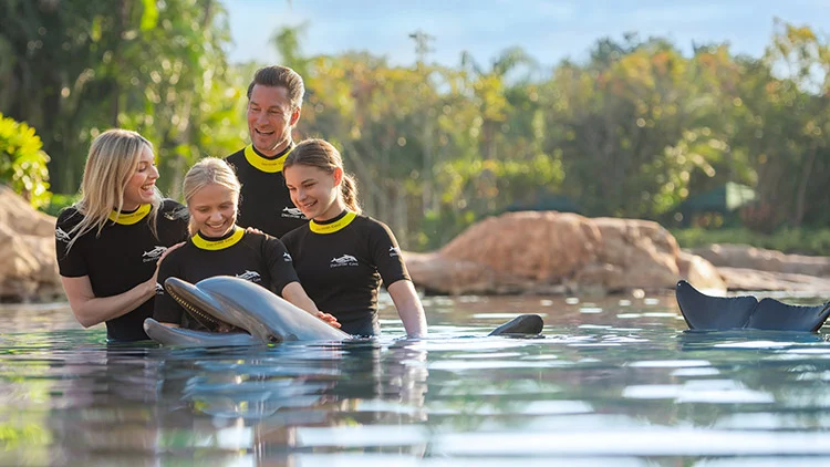 Família na experiência de nadar com golfinhos no Discovery Cove