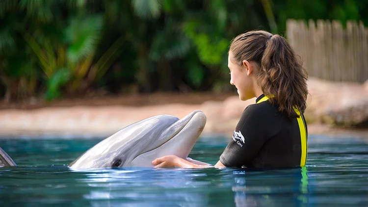 Mulher nadando com golfinho no Discovery Cove