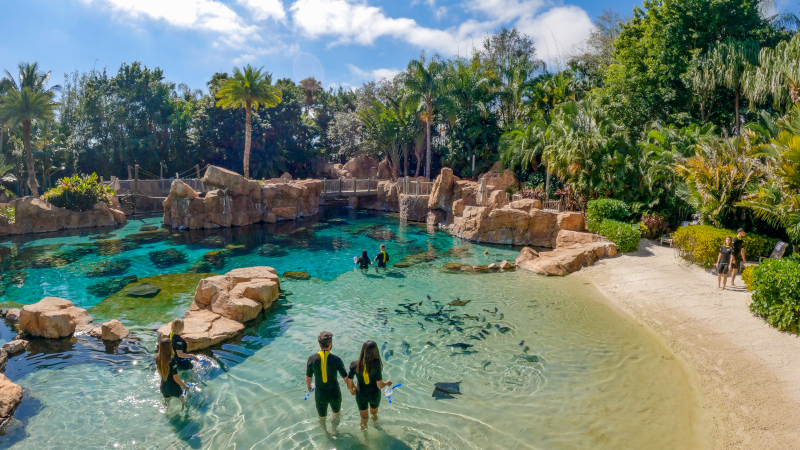 Discovery Cove - Orlando