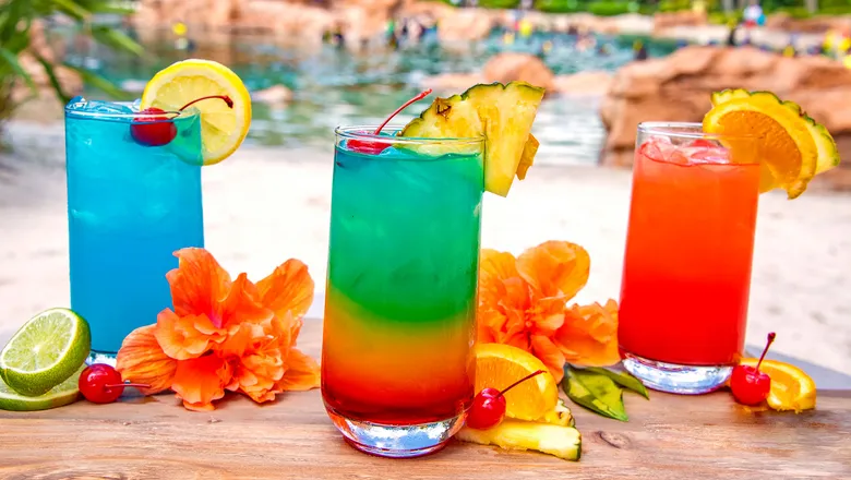 Algumas das bebidas que fazem parte do Premium Drink Package - Discovery Cove
