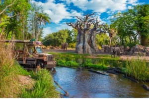 Kilimanjaro Safaris