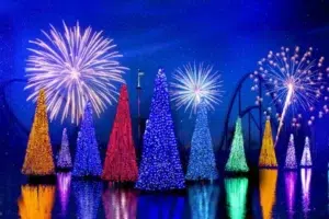 Holiday Reflections: Fireworks Finale