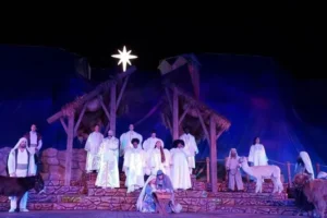 The Wondrous Night