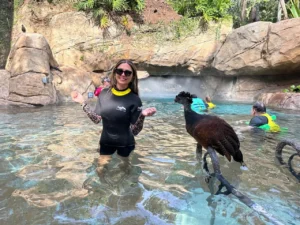 Discovery Cove em Orlando