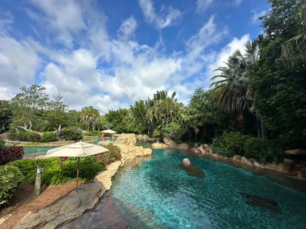 Descubra as Novidades do Discovery Cove em Orlando