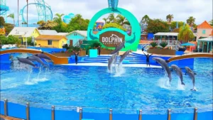 Roteiro perfeito SeaWorld