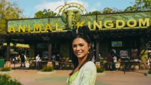 Animal Kingdom