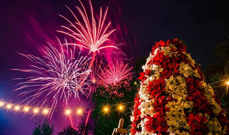 Show de fogos de artifício no Natal do Busch Gardens de 2024