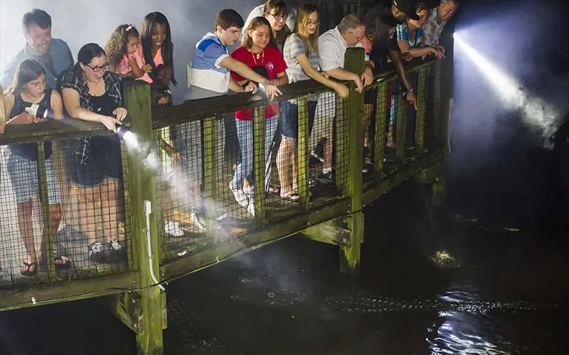 Pessoas observando crocodilos no Gatorland Orlando